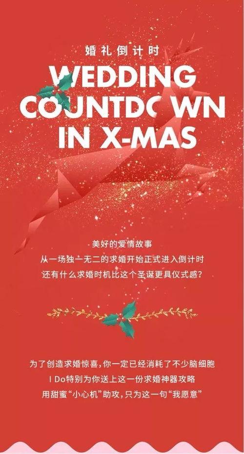 婚姻倒计时,婚姻的甜蜜蜕变之旅